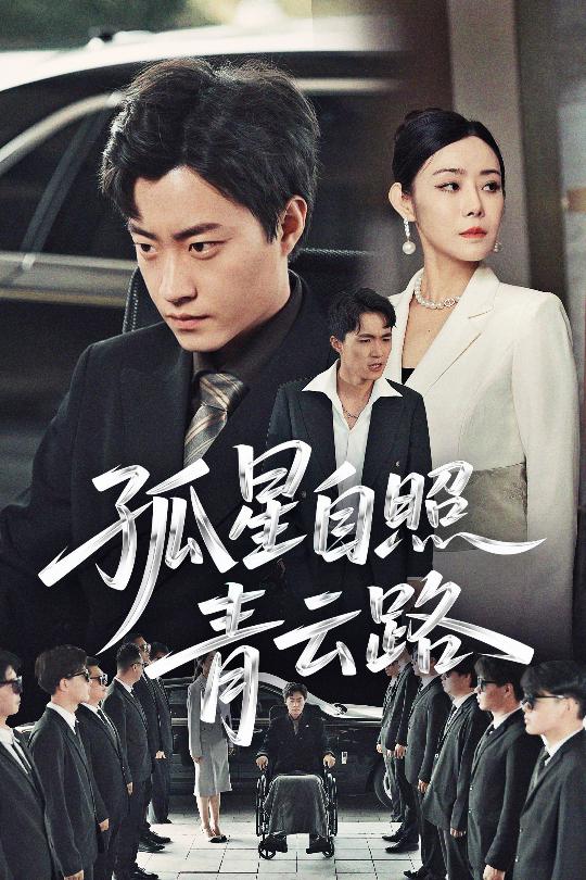 孤星自照青云路的封面图
