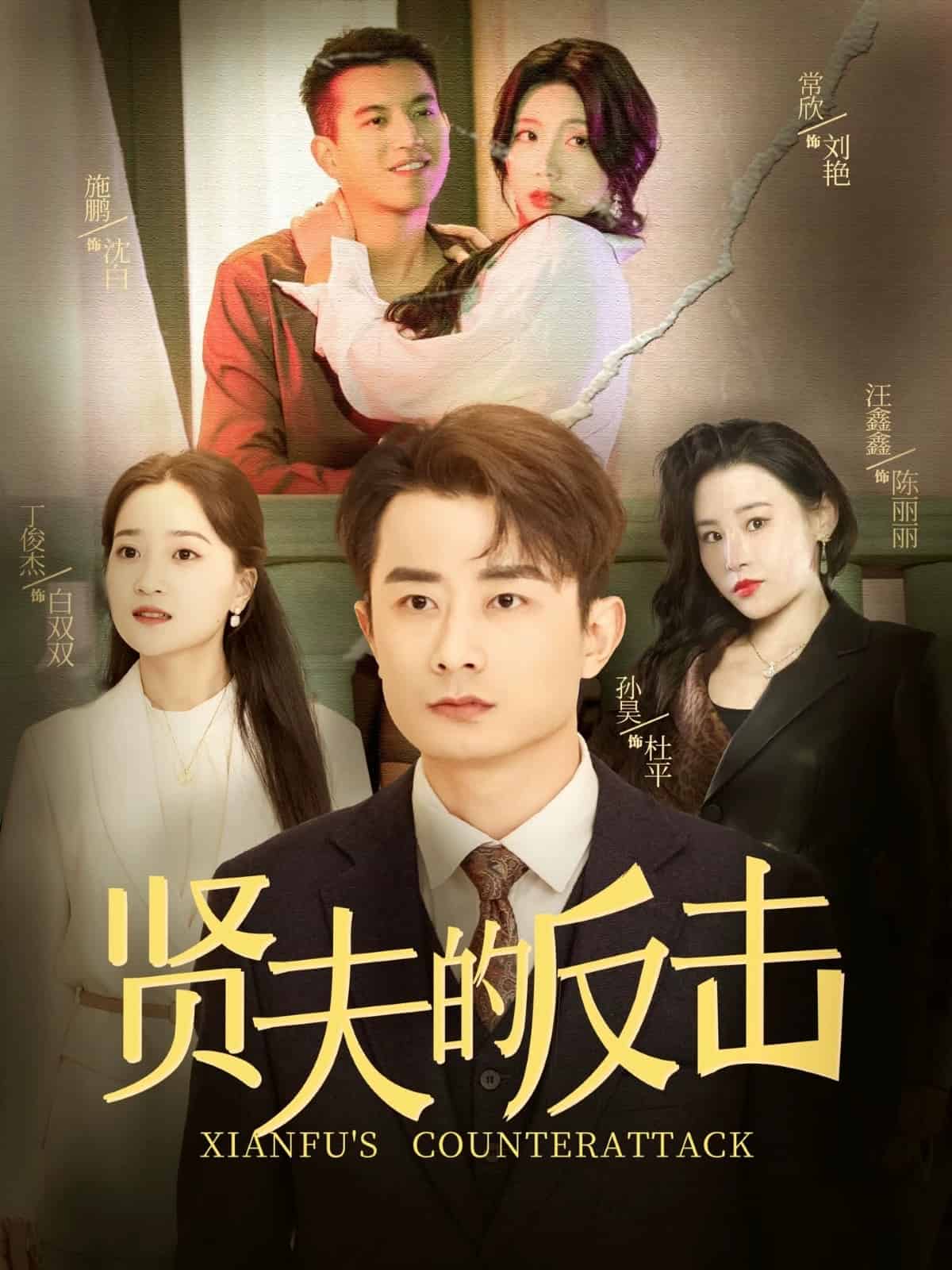 贤夫的反击的封面图