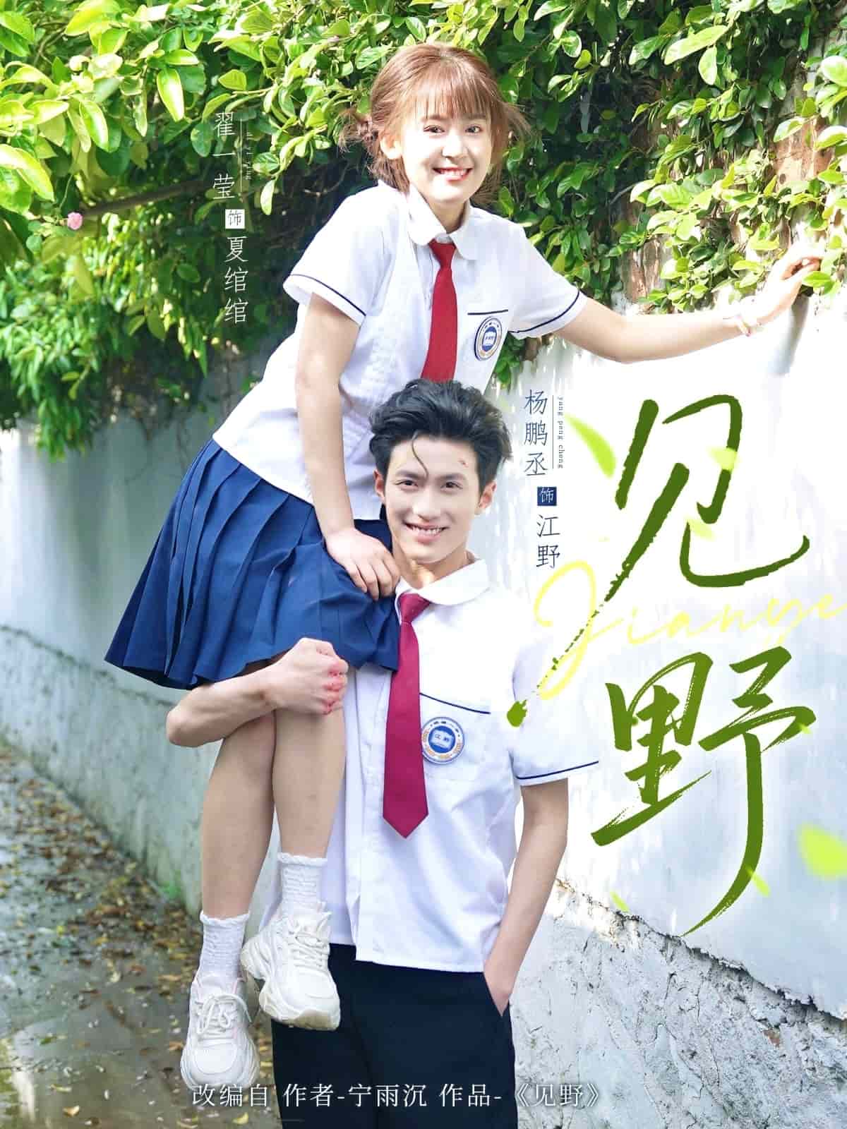 见野的封面图