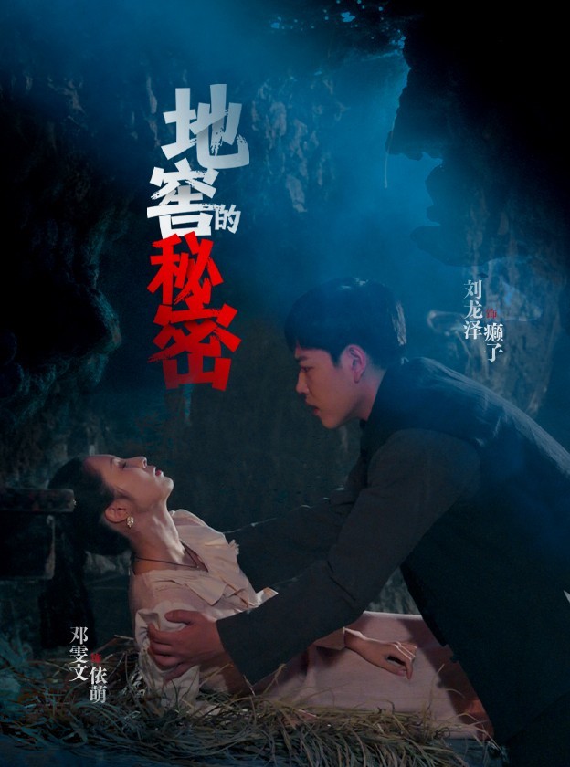 地窖的秘密的封面图
