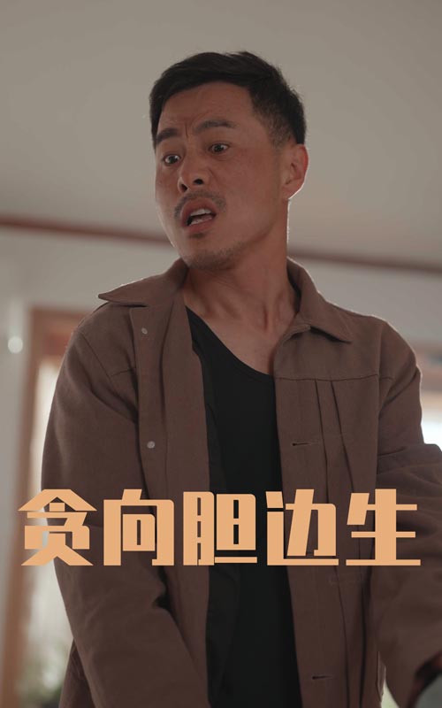 贪向胆边生的封面图