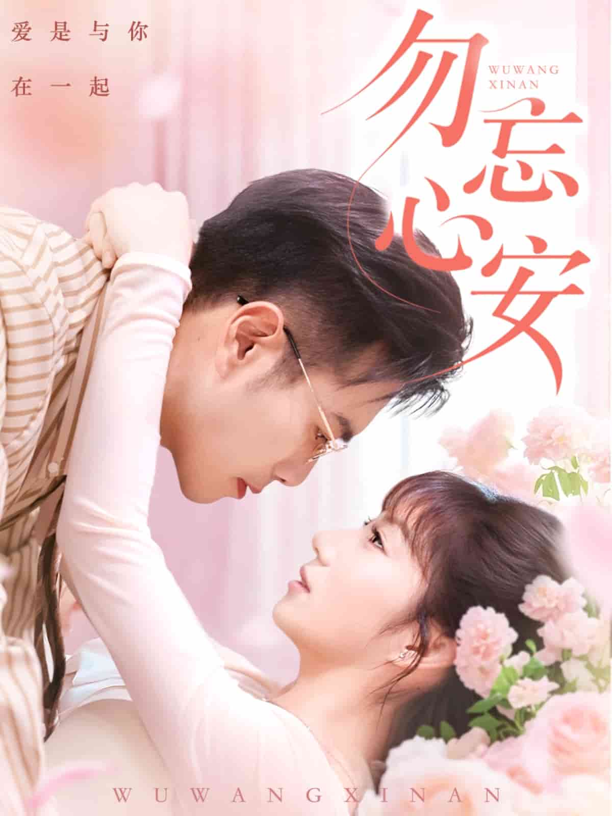 勿忘心安的封面图