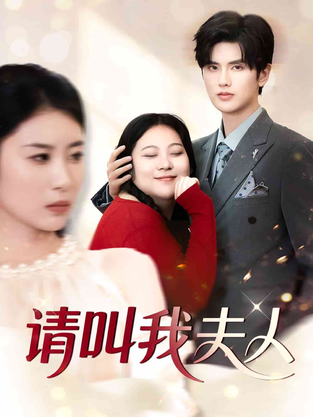 请叫我夫人的封面图