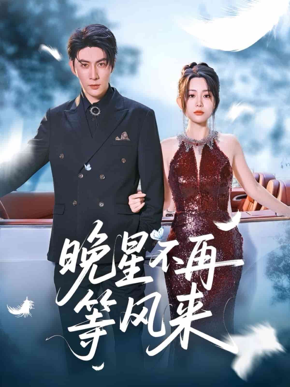 晚星不再等风来的封面图