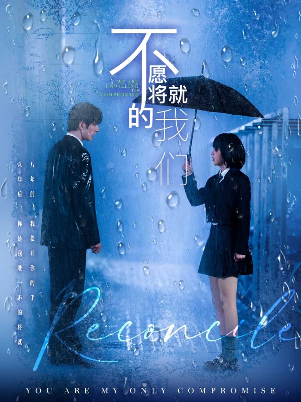 不愿将就的我们的封面图