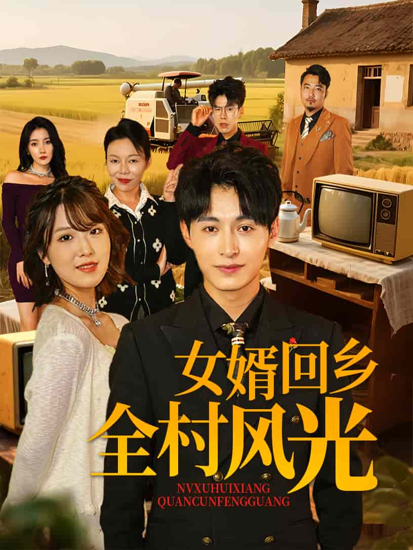 女婿回乡全村风光的封面图