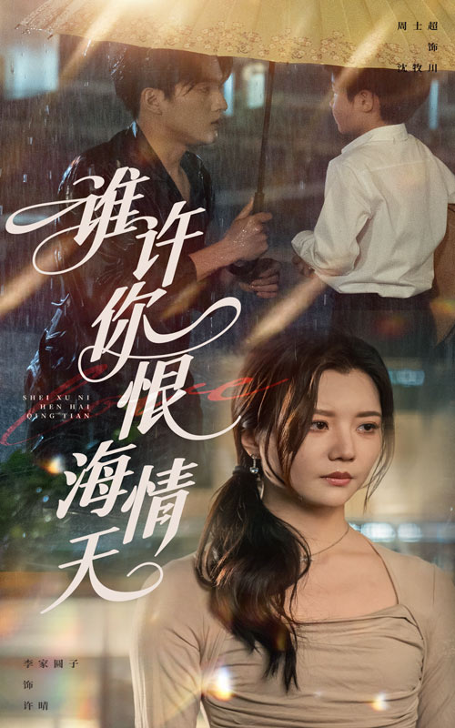 谁许你恨海情天的封面图