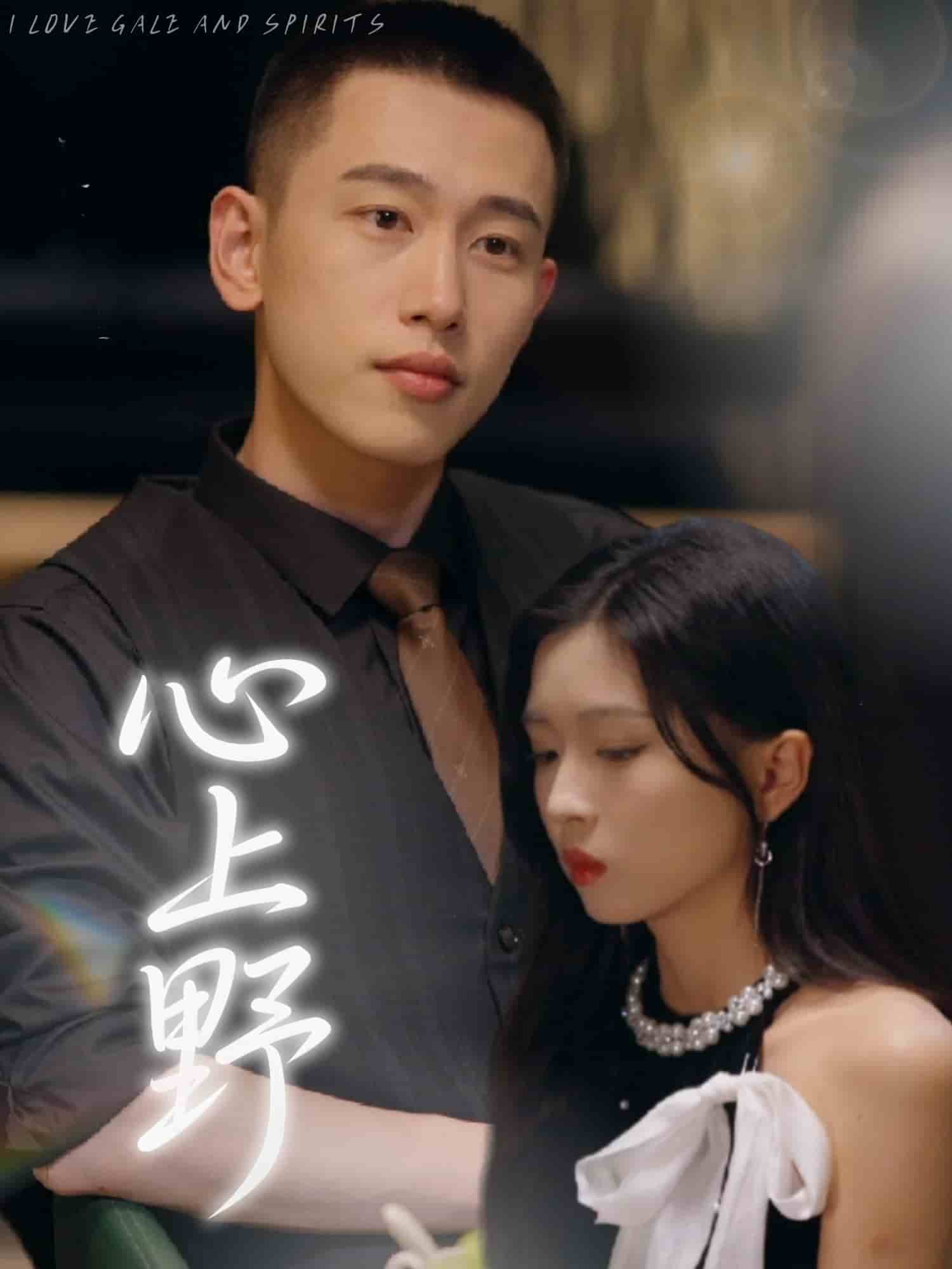 心上野的封面图