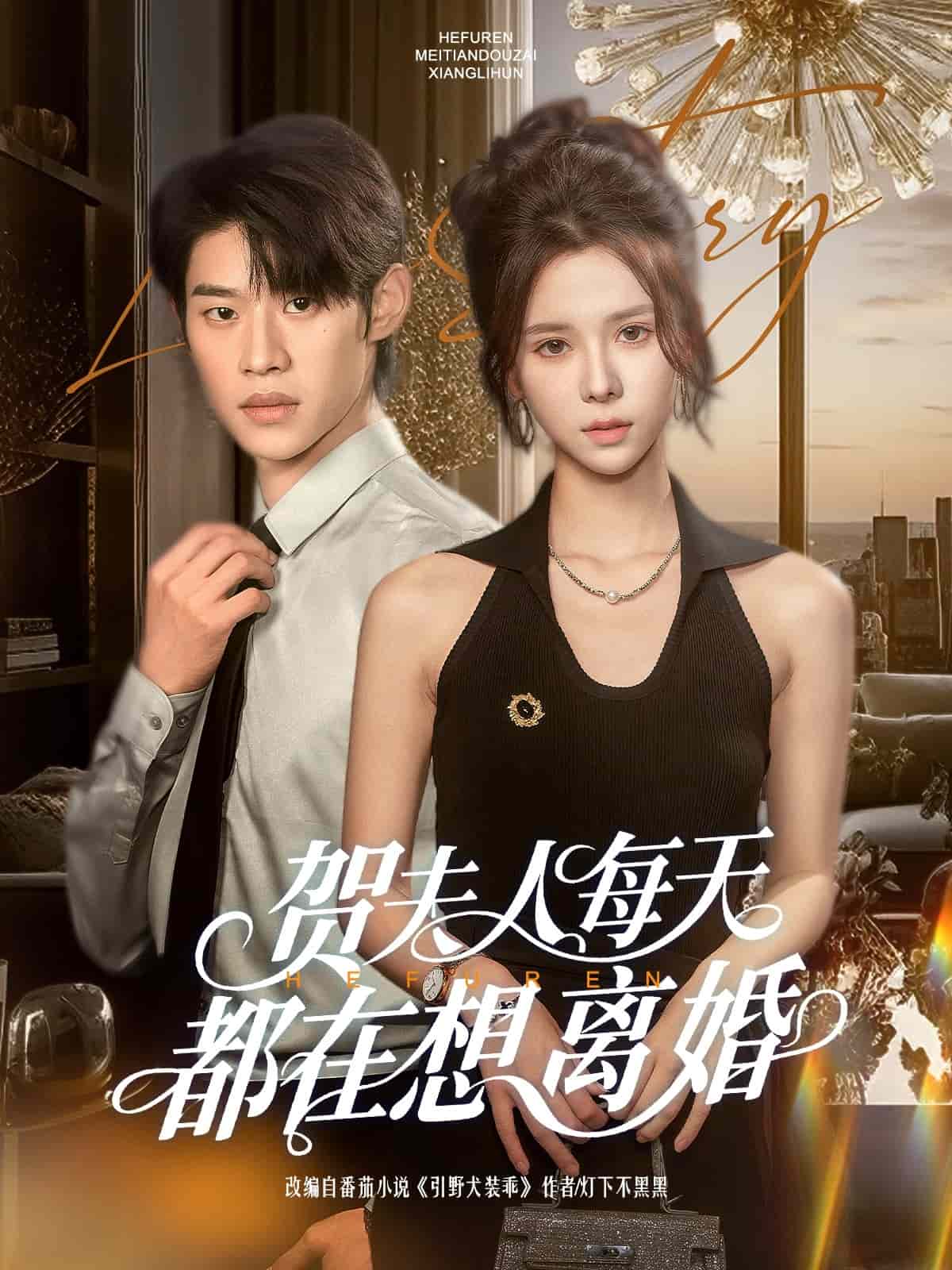 贺夫人每天都在想离婚的封面图