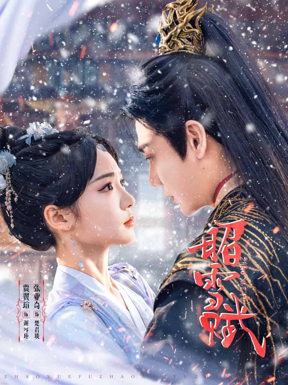 昭雪赋的封面图