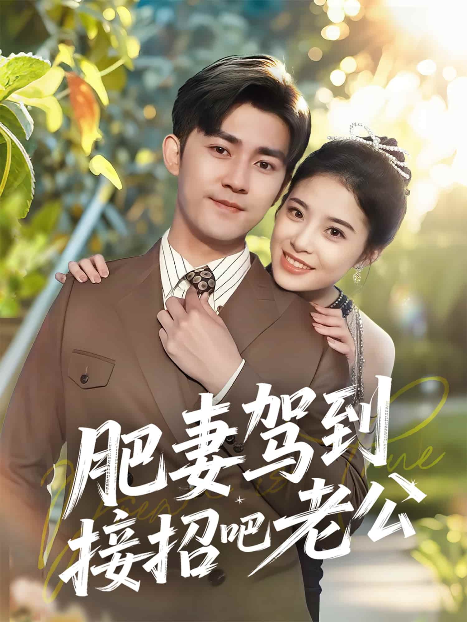肥妻驾到接招吧老公的封面图
