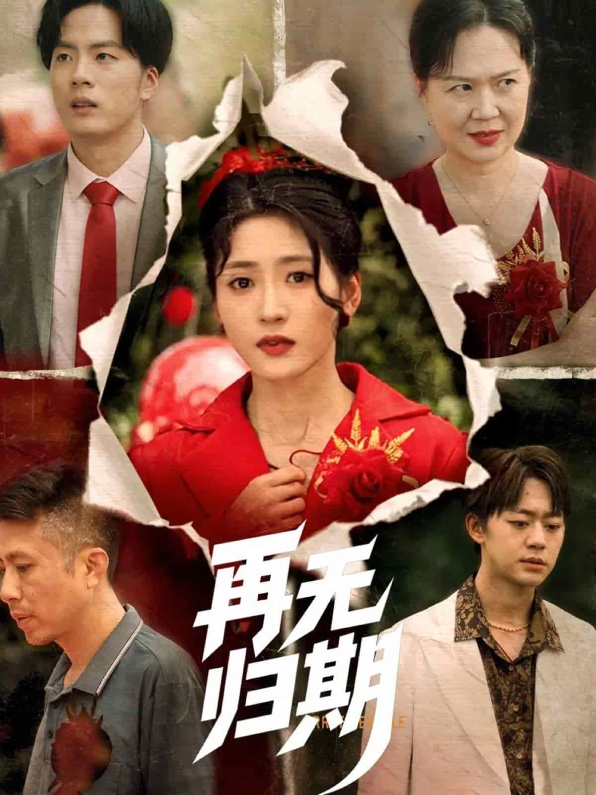 再无归期的封面图