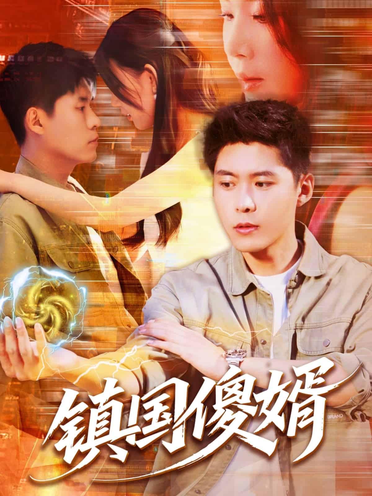 镇国傻婿的封面图