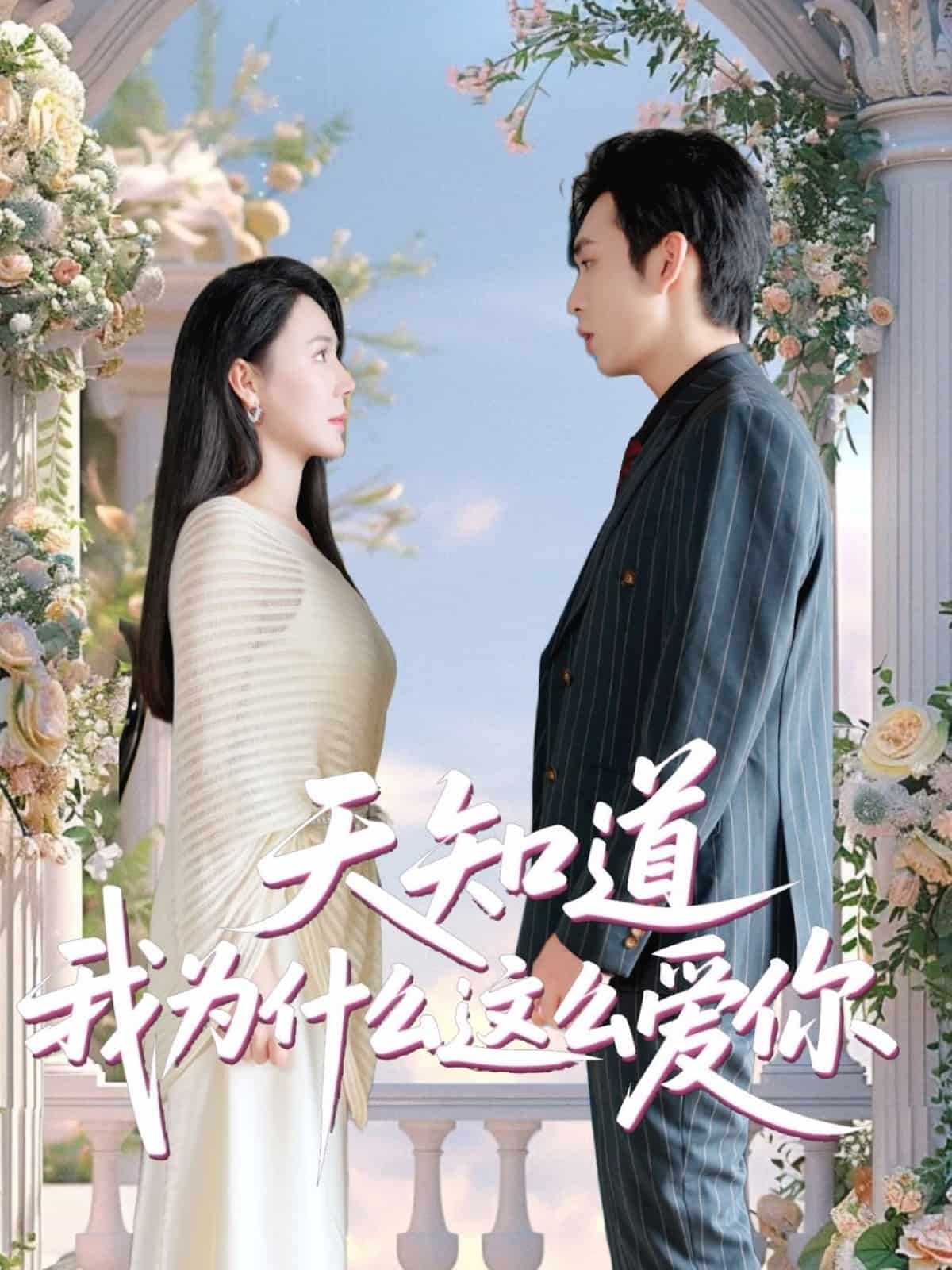 天知道我为什么这么爱你的封面图