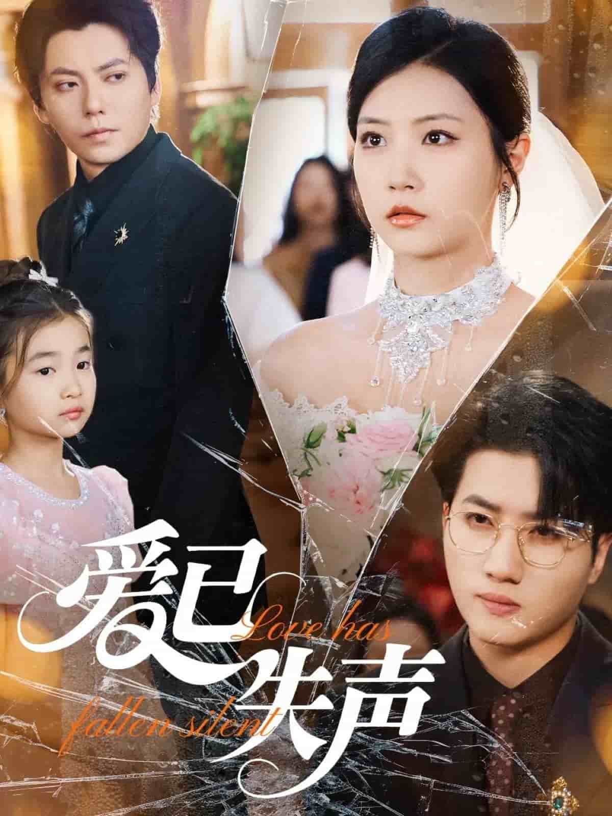 爱已失声的封面图