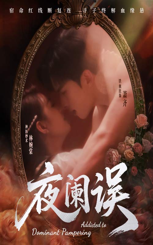 夜阑误的封面图