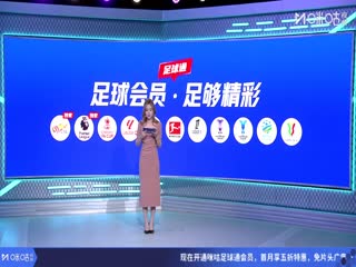 亚冠精英联赛阶段 首尔FCVS成都蓉城 20251104