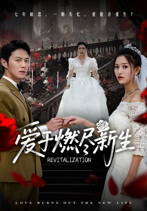爱于燃尽新生的封面图