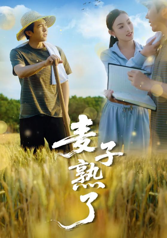 麦子熟了的封面图