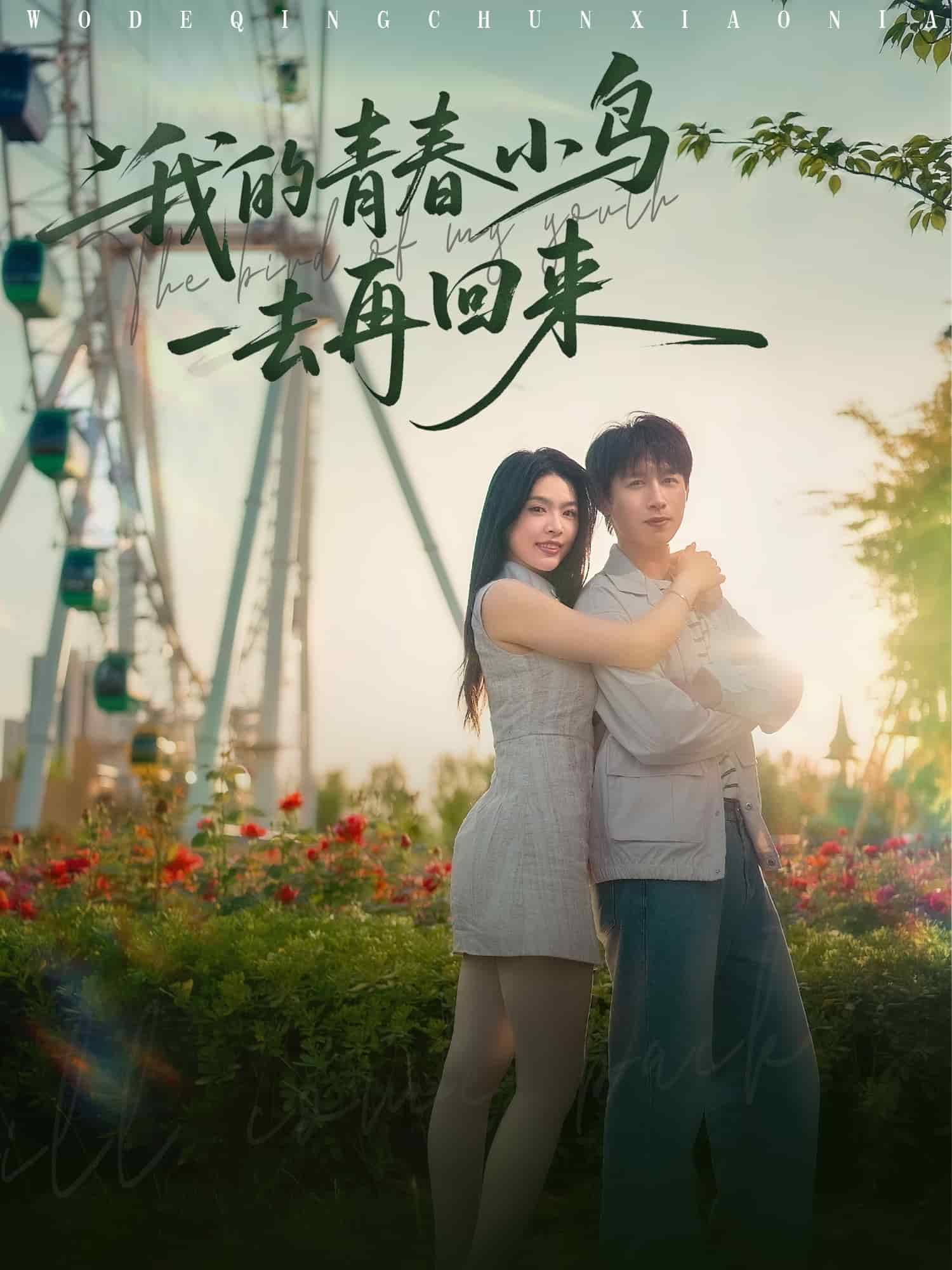 我的青春小鸟一去再回来的封面图