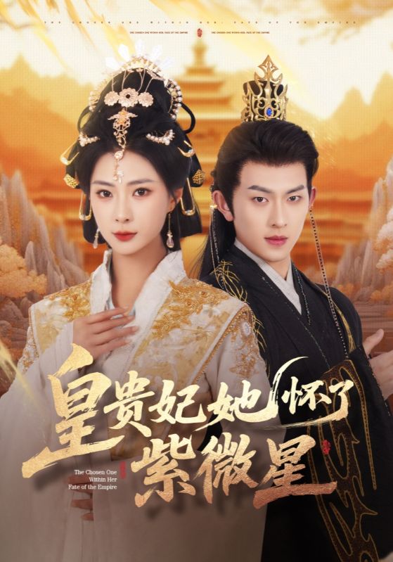 皇贵妃她怀了紫薇星的封面图