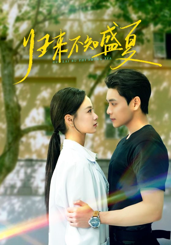 归来不知盛夏的封面图