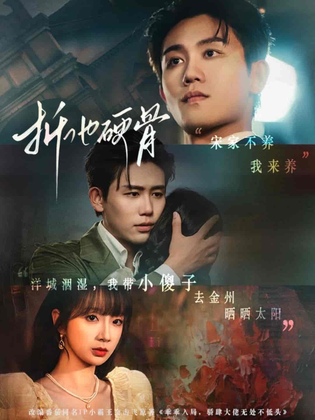 折他硬骨的封面图