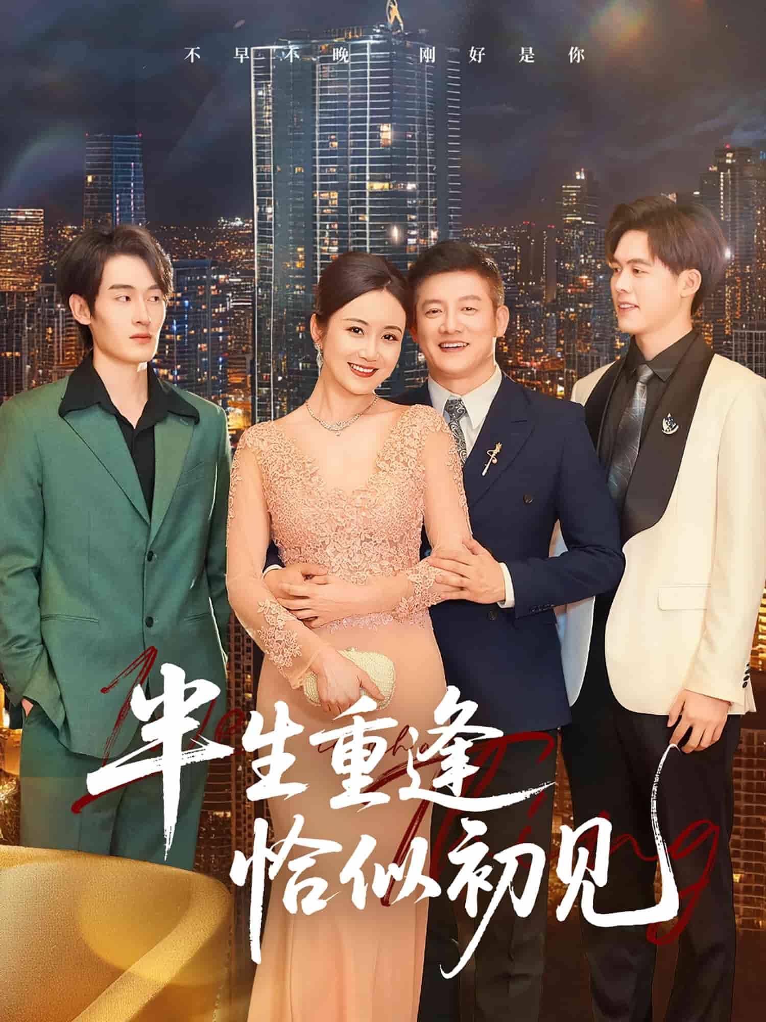 半生重逢恰似初见的封面图