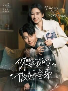 你好，我的傲娇学弟的封面图