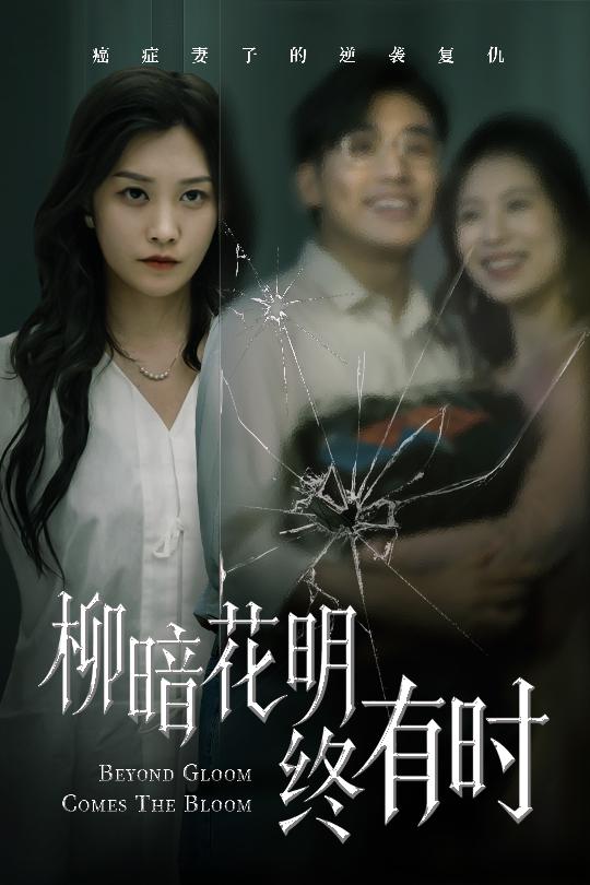 柳暗花明终有时海报