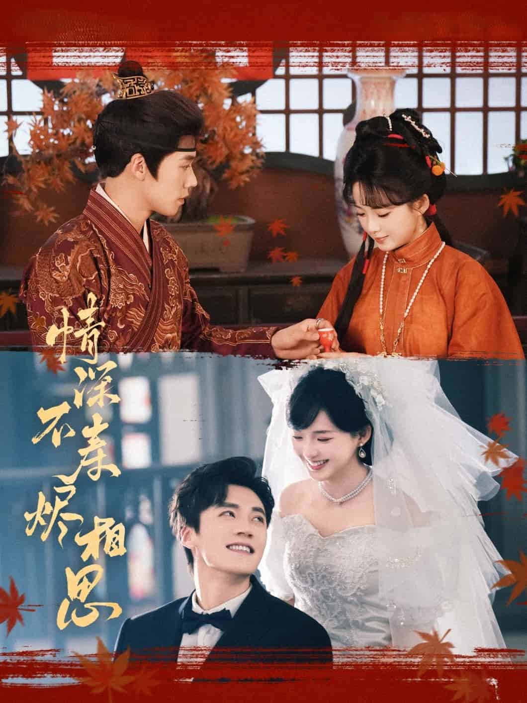 情深不寿烬相思海报