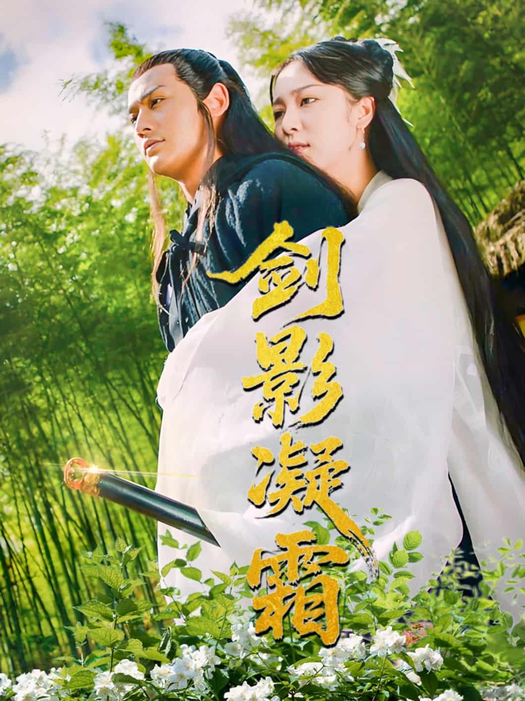 剑影凝霜海报