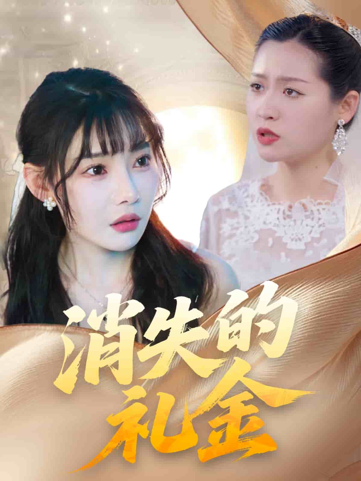 消失的礼金的封面图