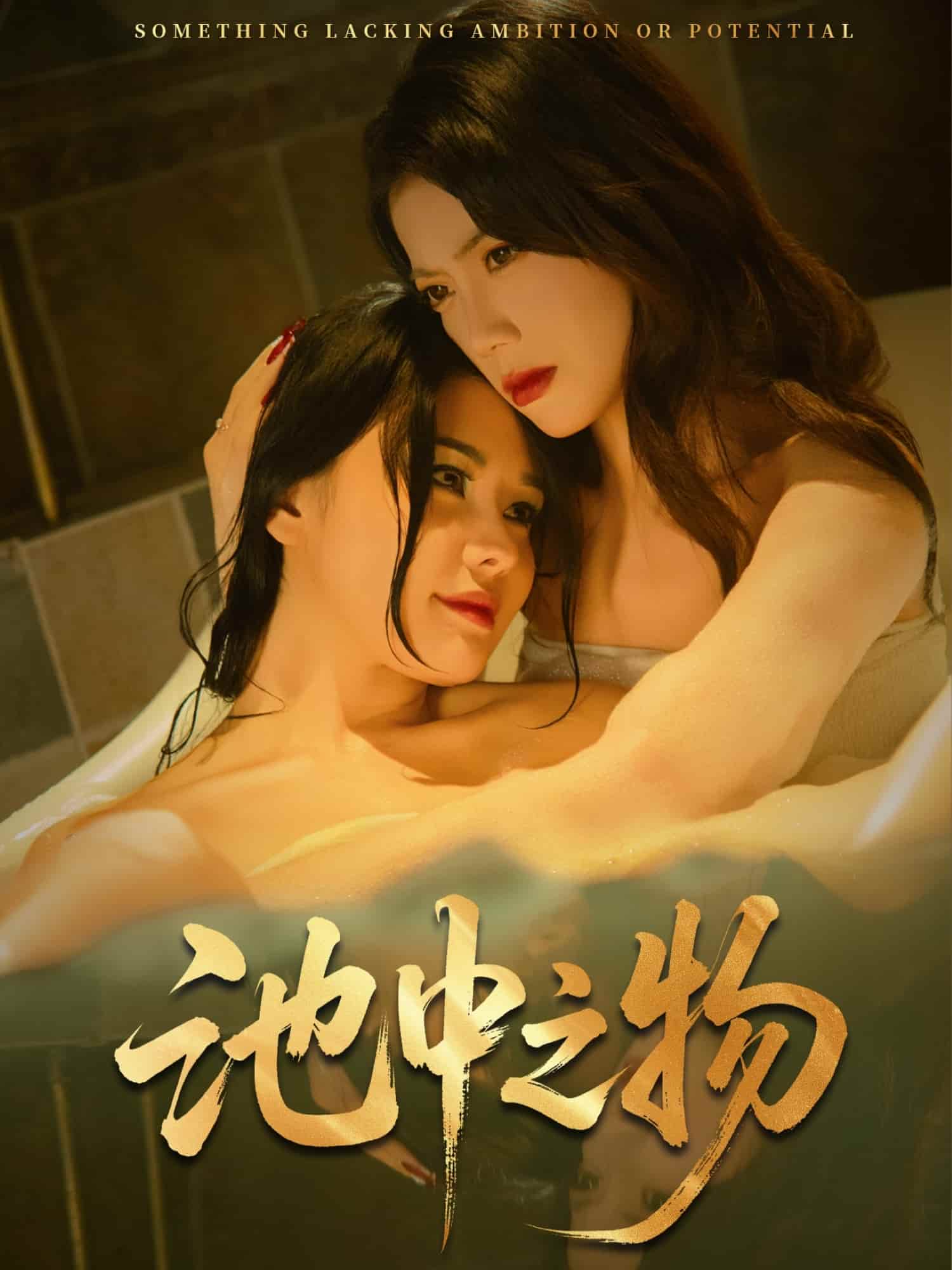 池中之物的封面图
