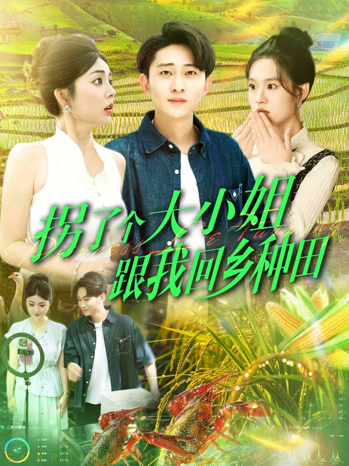 拐了个大小姐跟我回乡种田的封面图