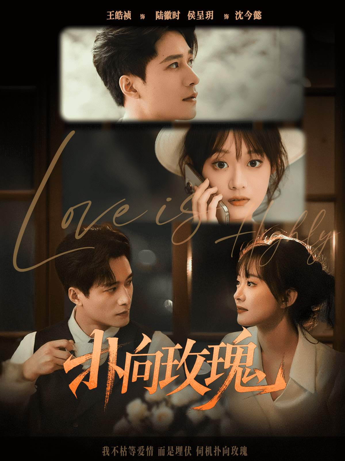 扑向玫瑰的封面图