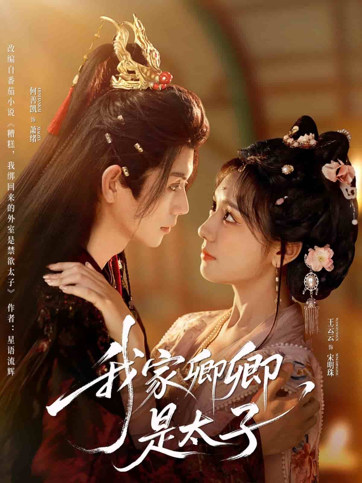 我家卿卿是太子的封面图