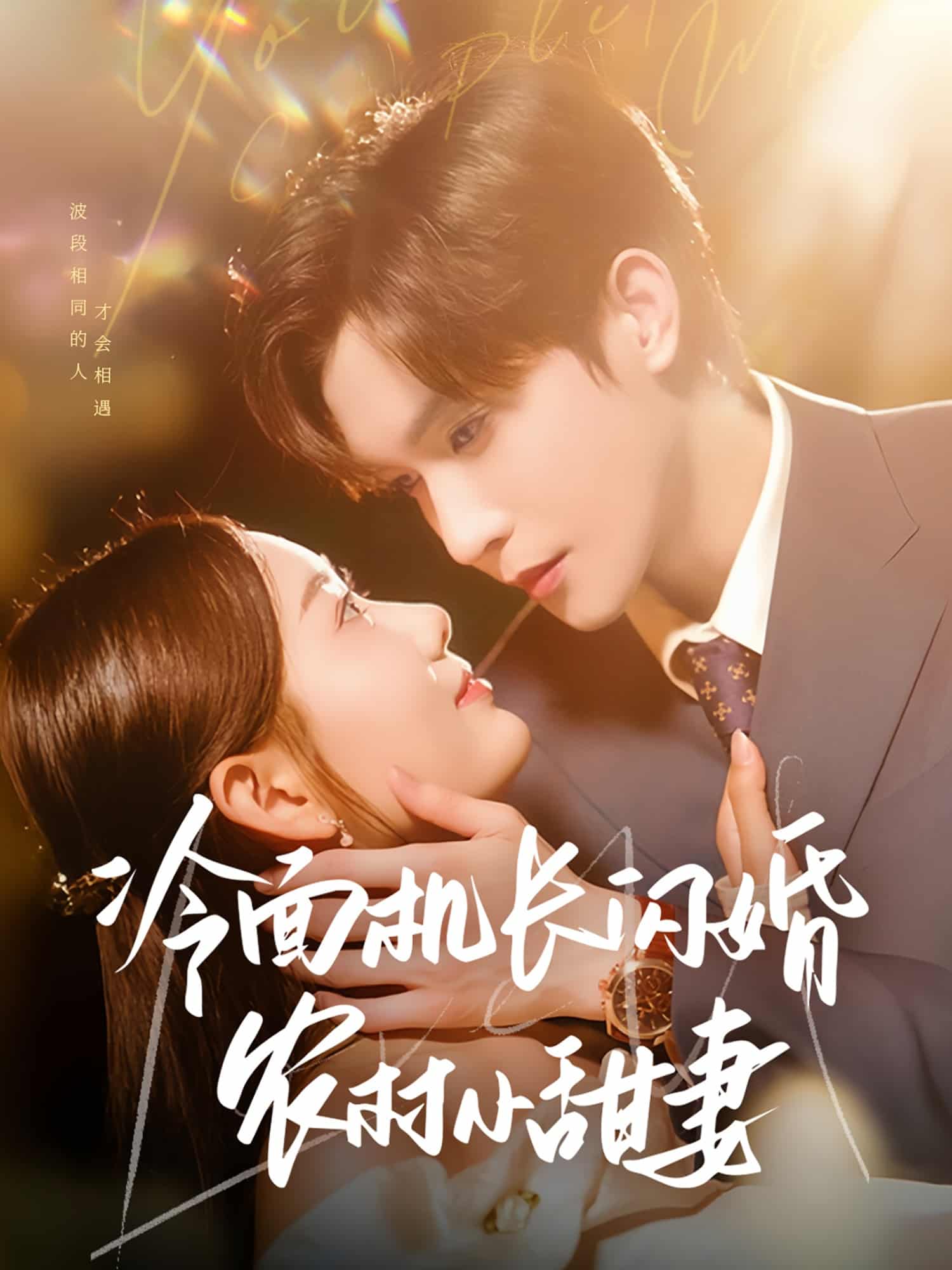 冷面机长闪婚农村小甜妻的封面图