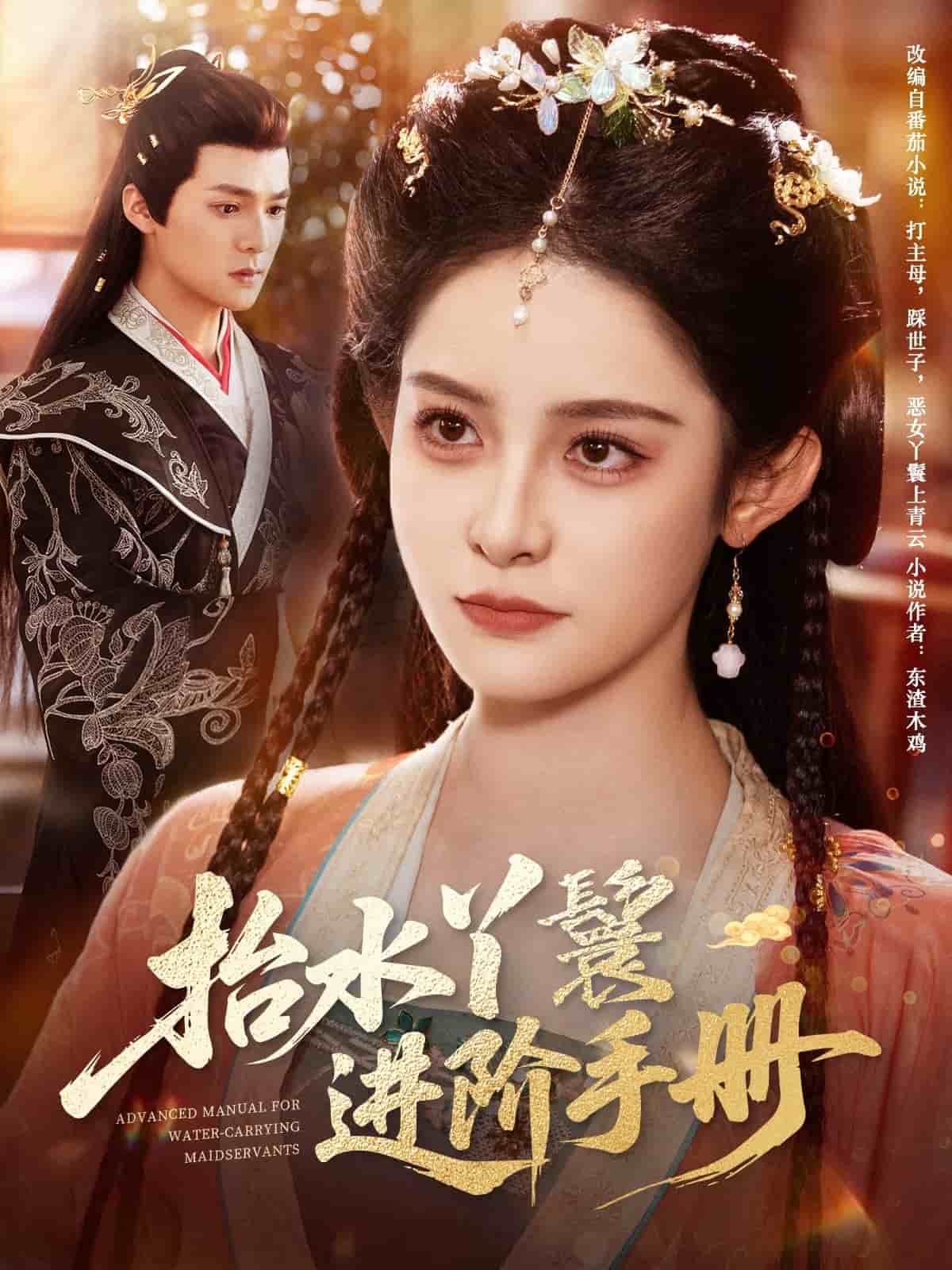抬水丫鬟进阶手册的封面图