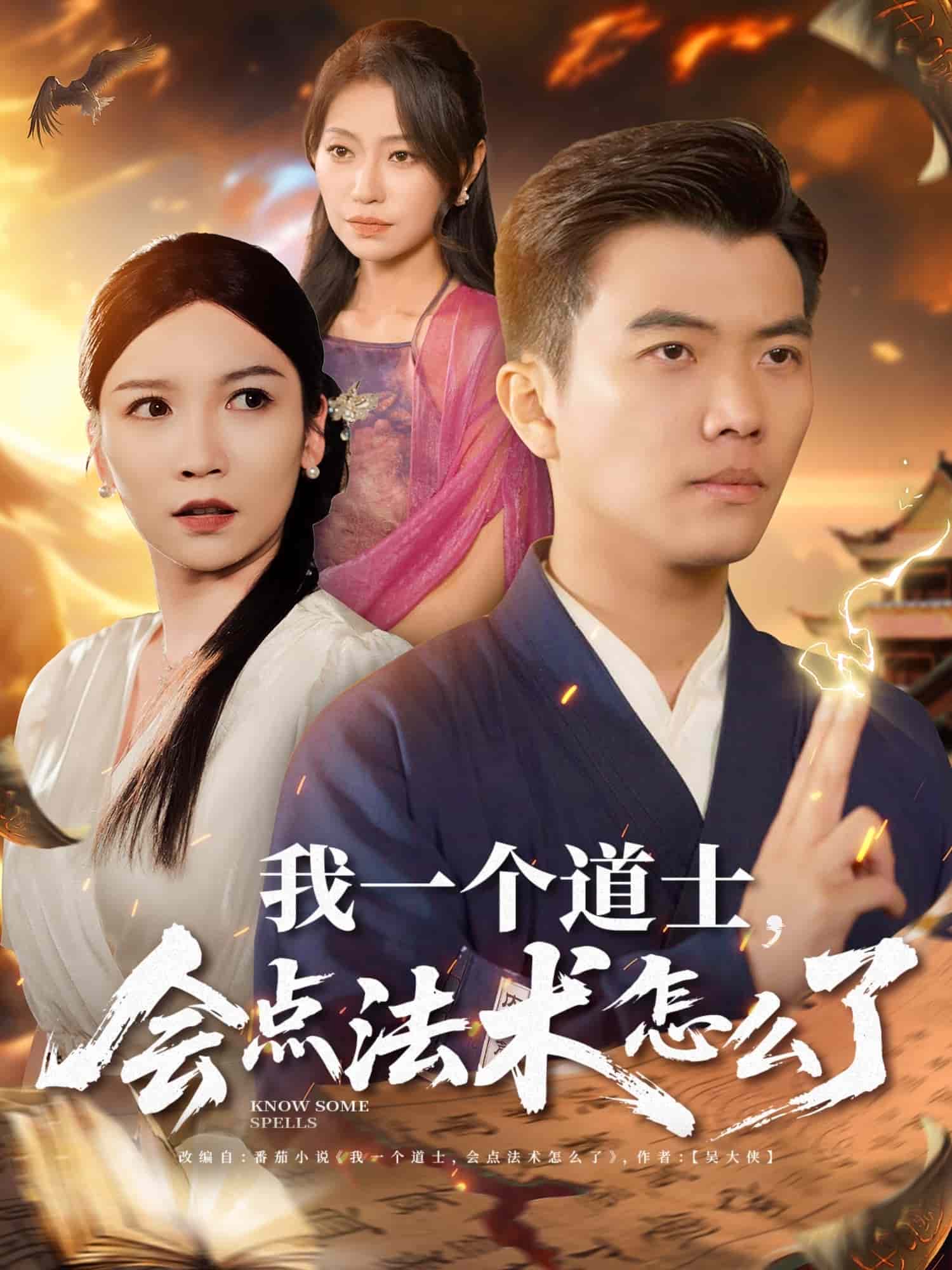 我一个道士会点法术怎么了的封面图