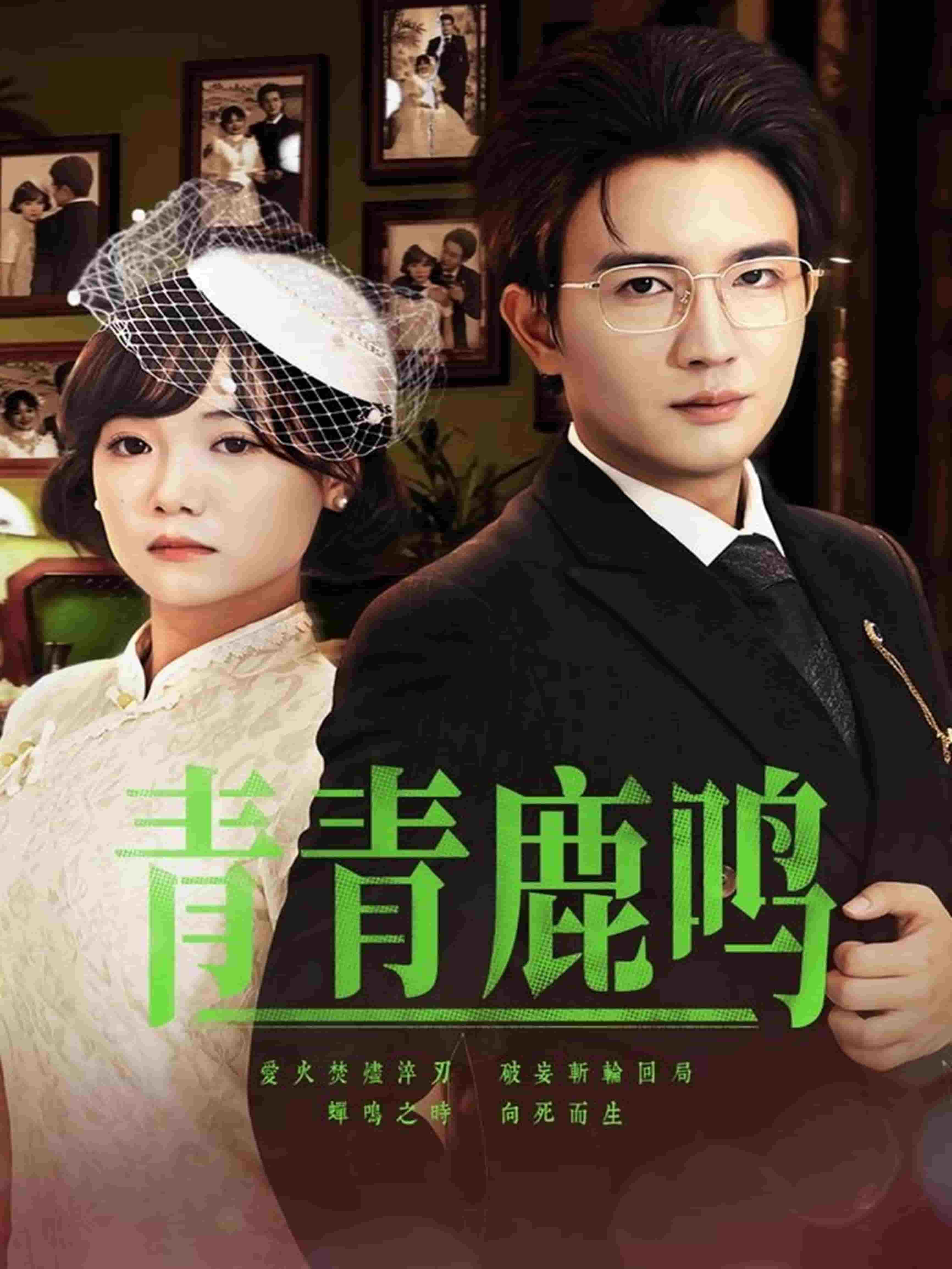 青青鹿鸣的封面图