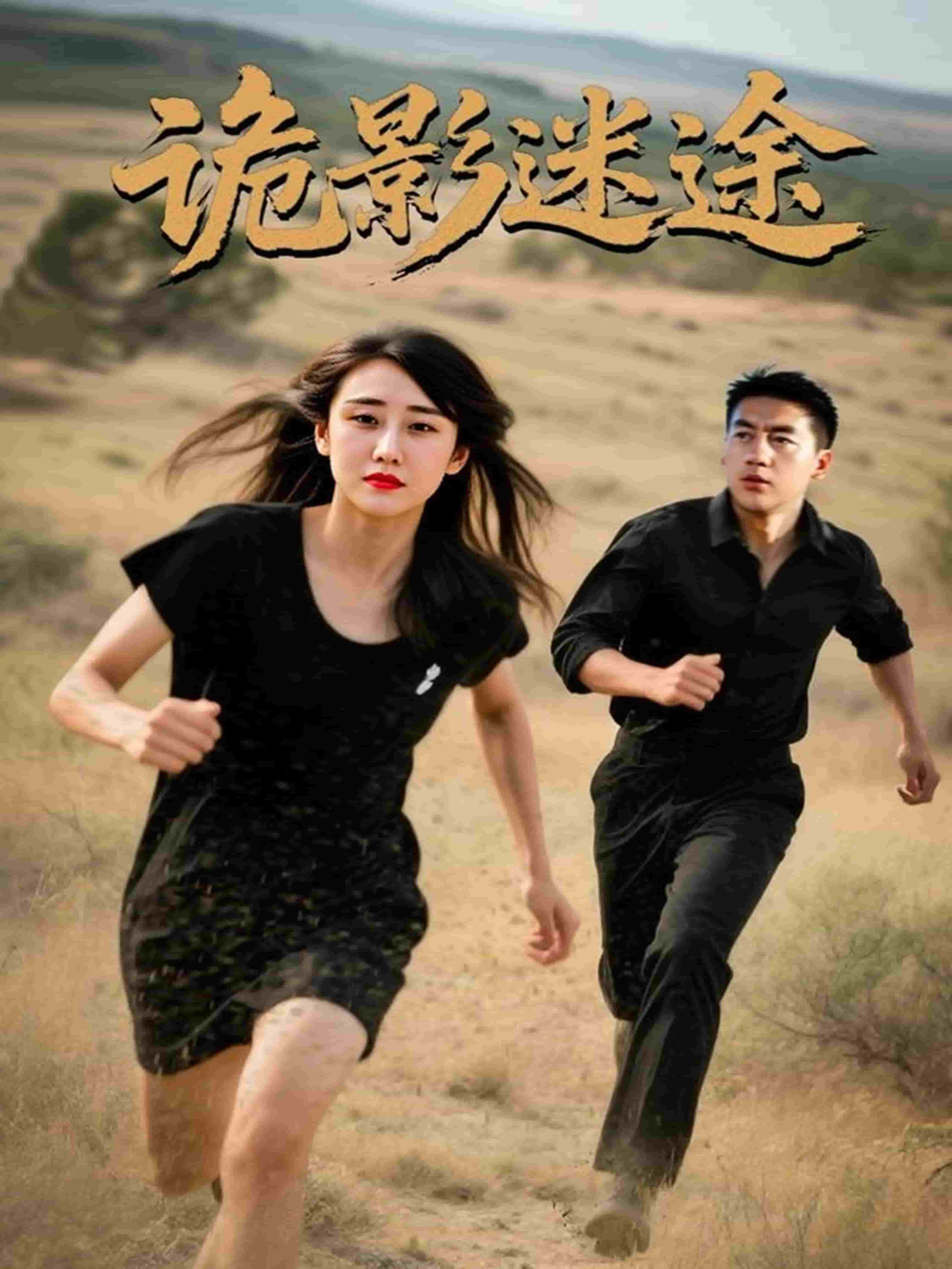 诡影迷途的封面图