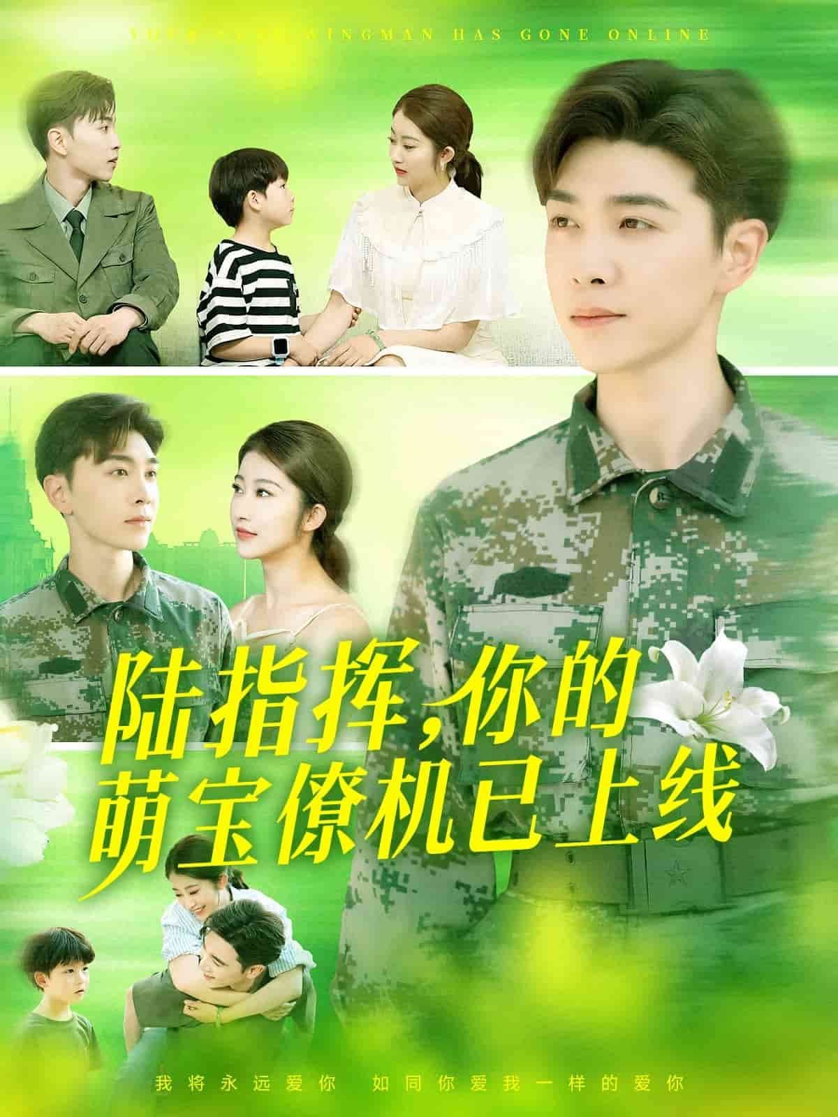 陆总你的萌宝已上线的封面图