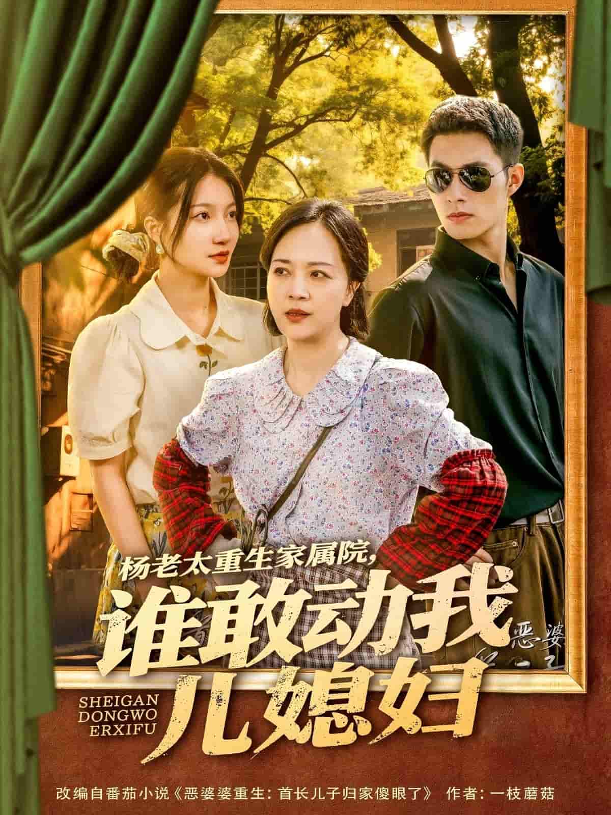杨老太重生家属院，谁敢动我儿媳妇的封面图