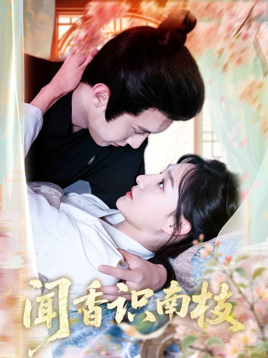 闻香识南枝的封面图