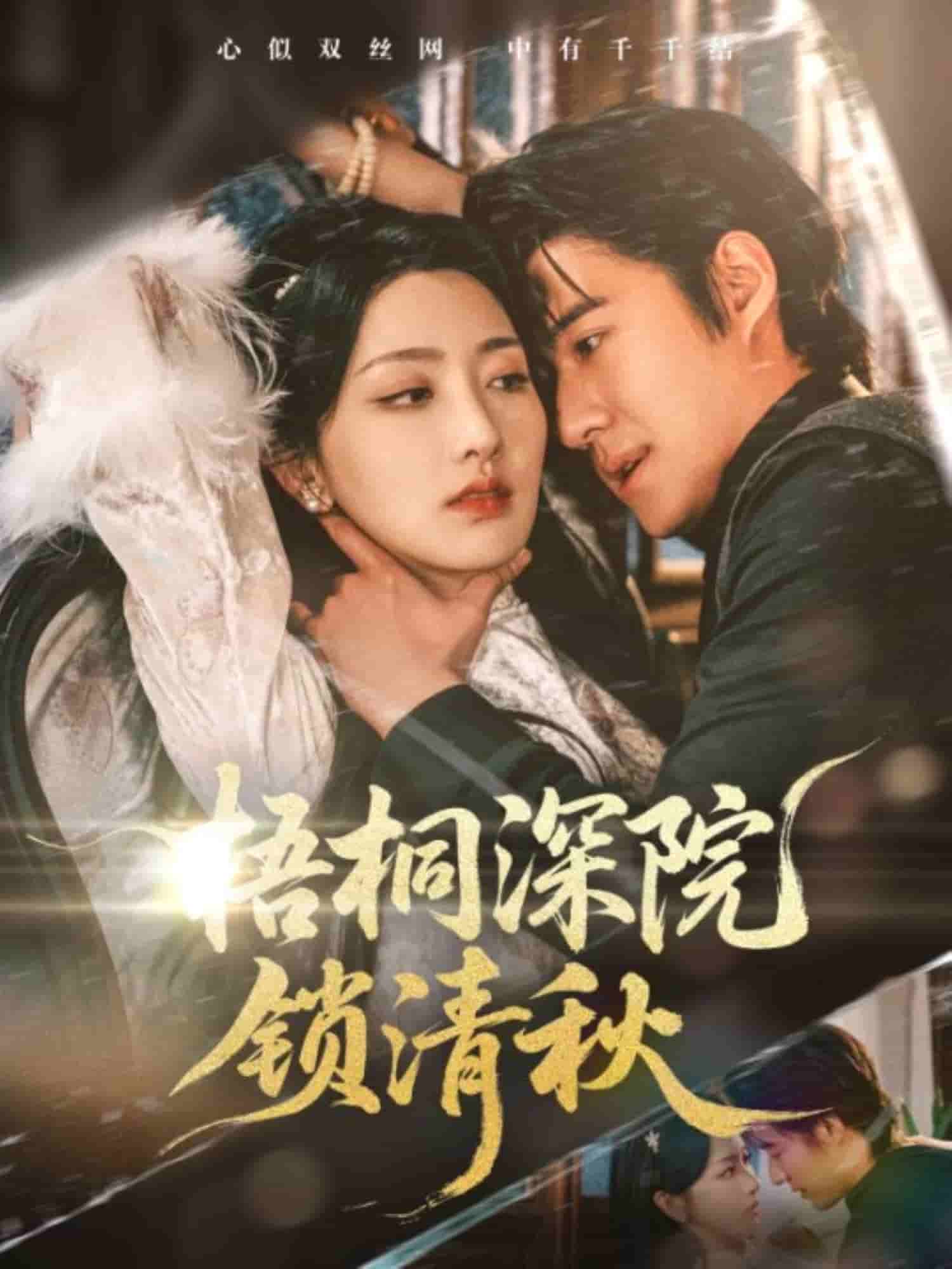 梧桐深院锁清秋的封面图
