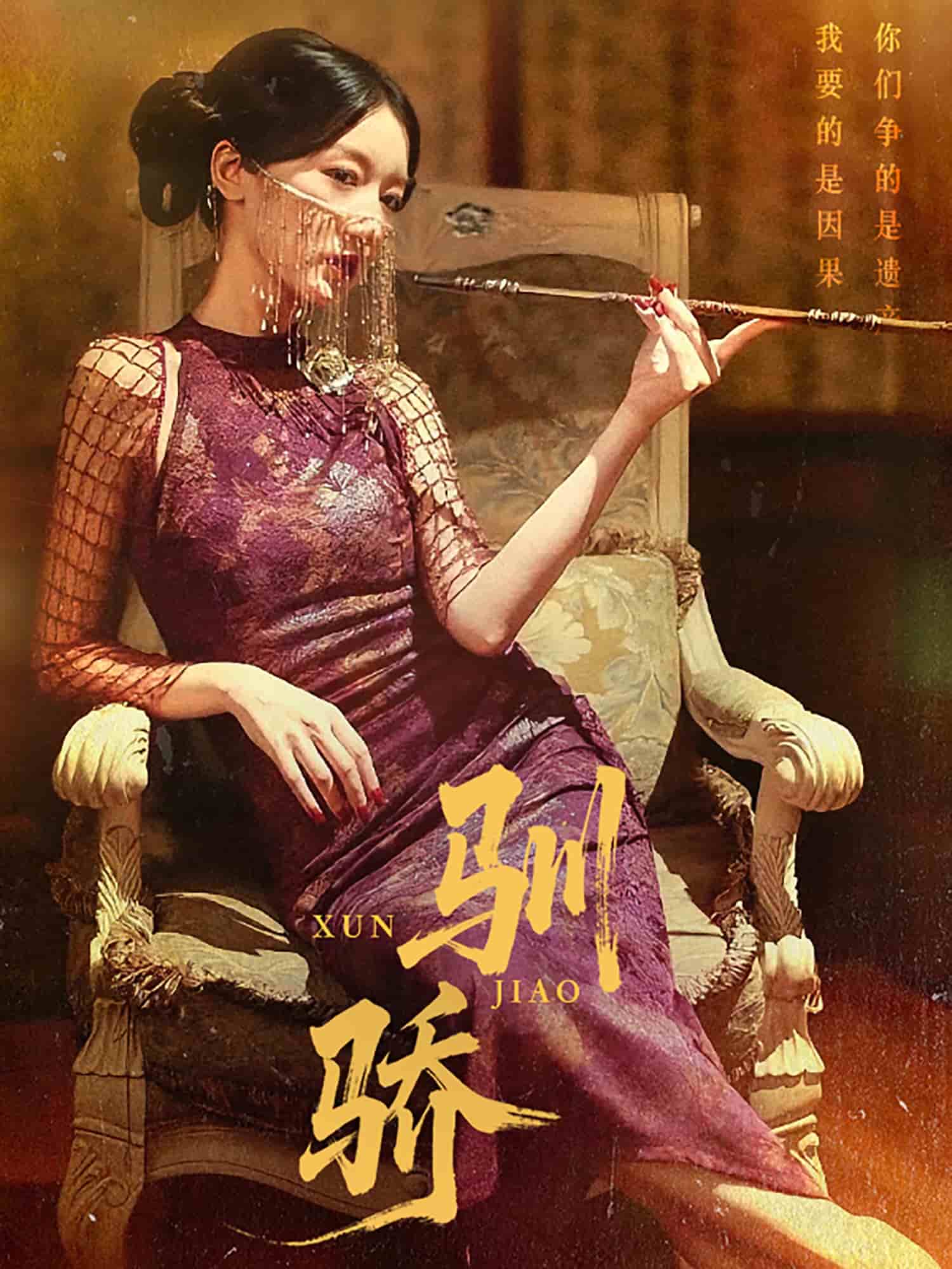 驯骄的封面图