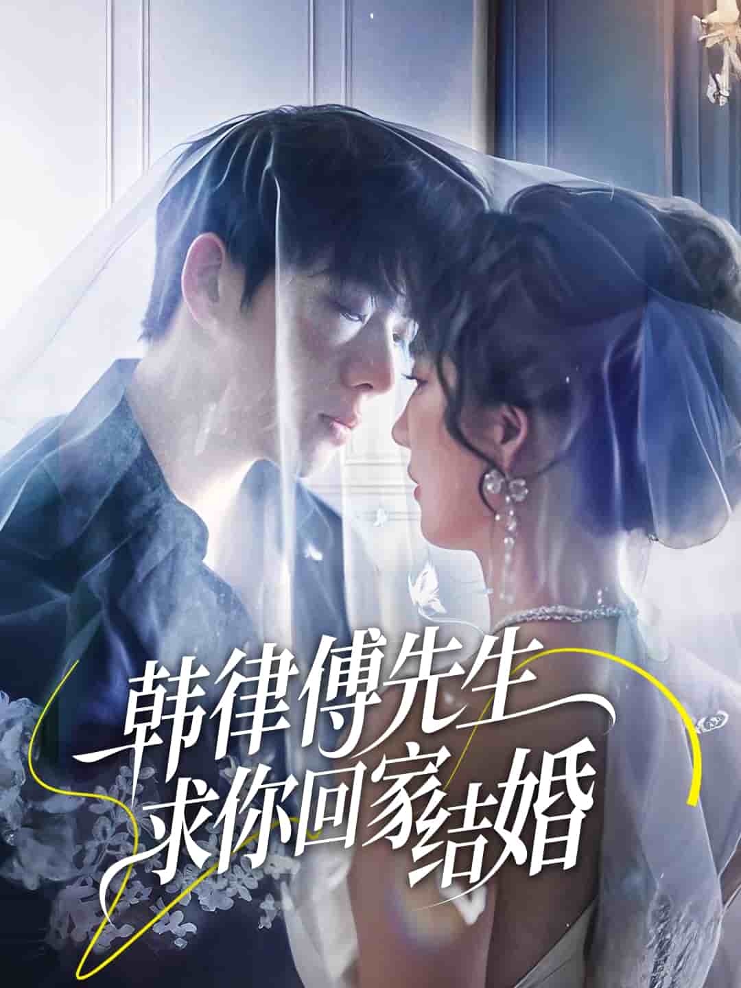 韩律傅先生求你回家结婚的封面图