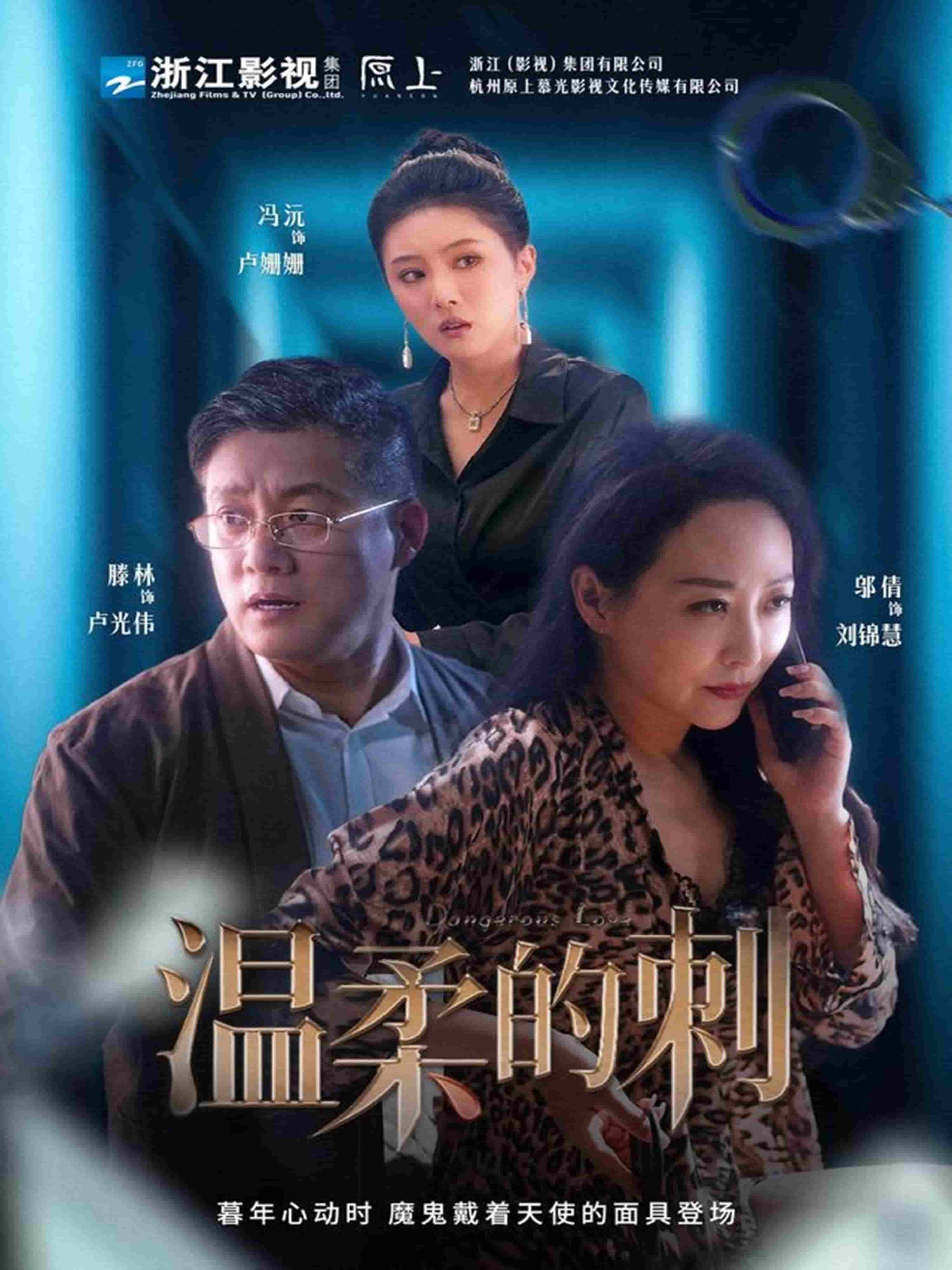 温柔的刺的封面图