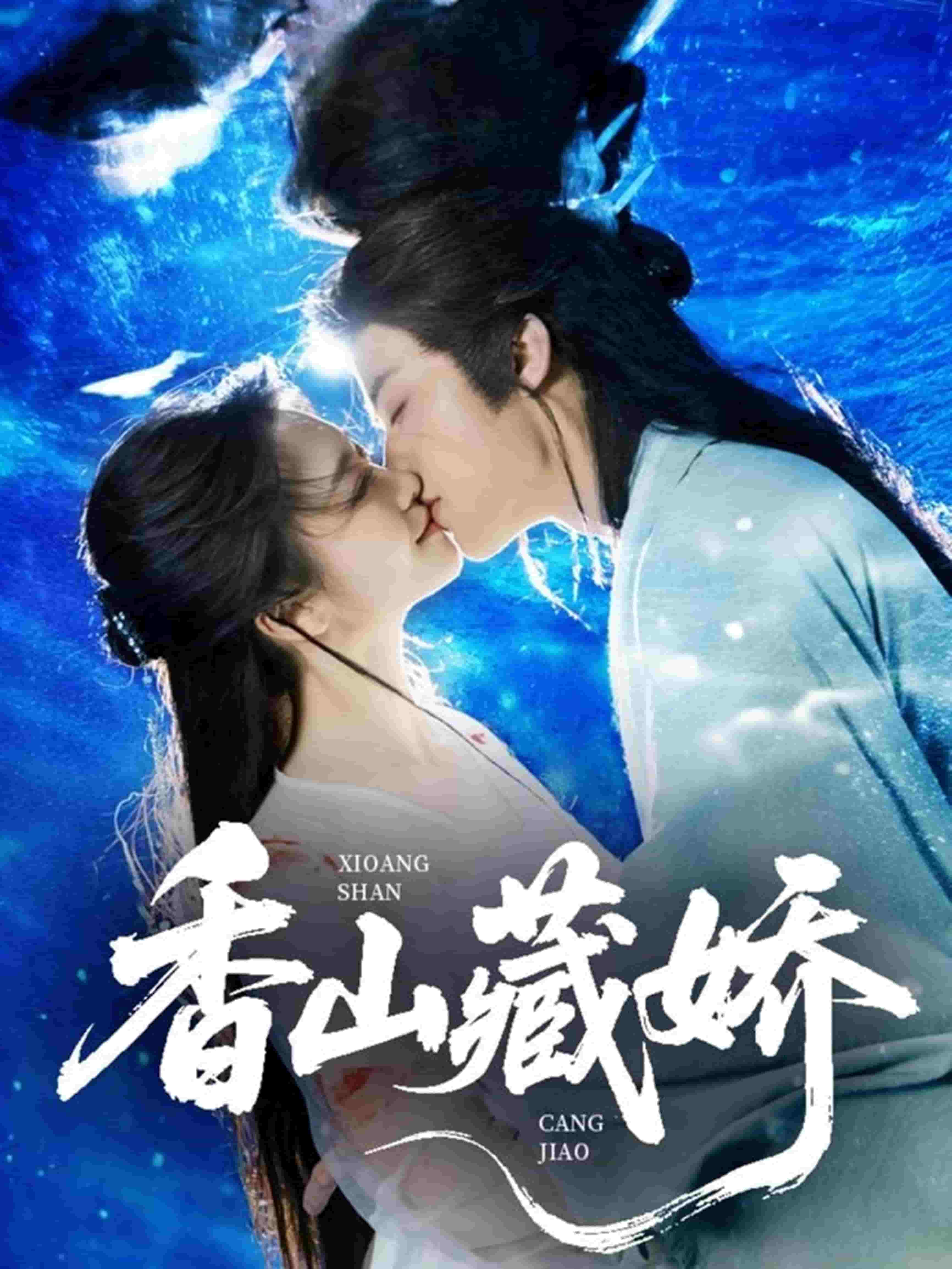 香山藏娇的封面图